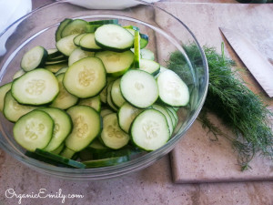 Cucumber Dill Chips 1