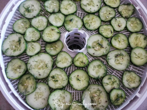 Cucumber Dill Chips 2