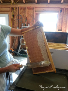 Decapping Honey