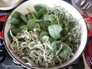 Fresh Herbs for Sore Throat Spray or Gargle