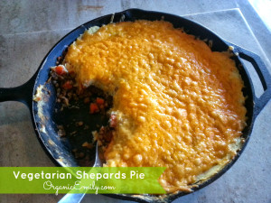 Vegetarian Shepards Pie