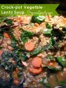 Crock-pot Vegetable Lentil Soup