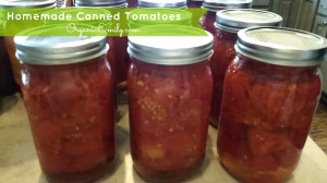 Homemade Canned Tomatoes