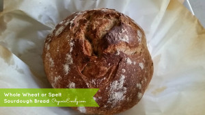 Whole Wheat Sourdough Bread
