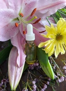 96525104_264346388023806_5421011131491680256_n