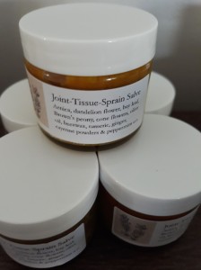 118306680_931035784076060_5761332428295178176_n