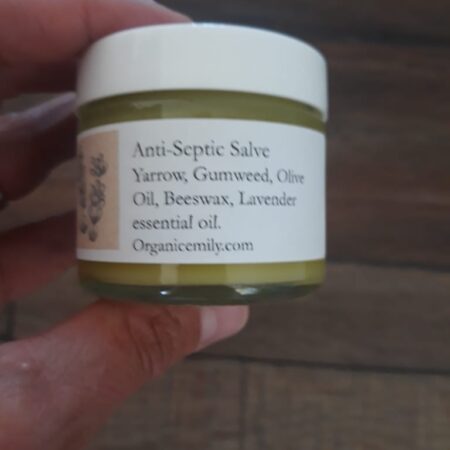 Anti-Septic Salve 2 oz. jar