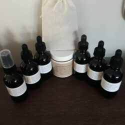 Family First Aid Herbal Workshop and Plant Walk - June 21st 2025