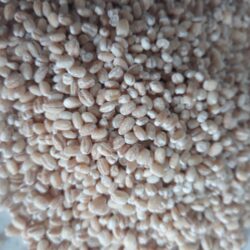 25# bag Pearled Barley