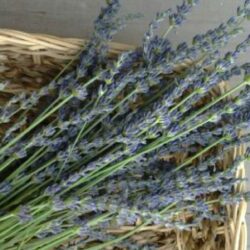 Natural Skin Care Workshop November 8th 2025