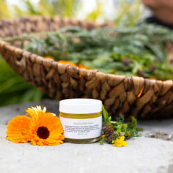 Emily's Herbal Skin Salve 2 oz. jar