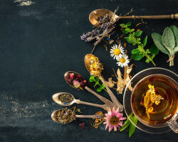 Foundation Herbal Intensive Workshop with Plant Walk- June 20th & 21st 2025