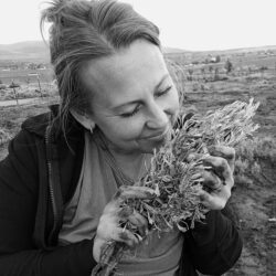 Spring Plant Walk - Friday June 20th, 2025