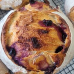 Blueberry Lemon White Chocolate Boule