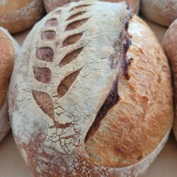 Plain Country Sourdough Loaf