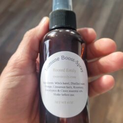 Immune Boost Room or Linen Spray - 4 oz