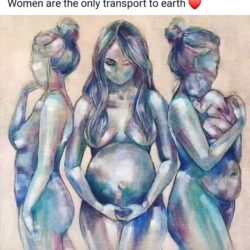 The Mother Workshop- Working with Our Cycles through the Childbearing Years - February 8th 2025