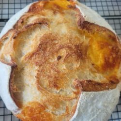 Cheddar Onion Boule