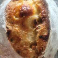 Asiago Parmesan Apple and Rosemary Loaf - Seasonal